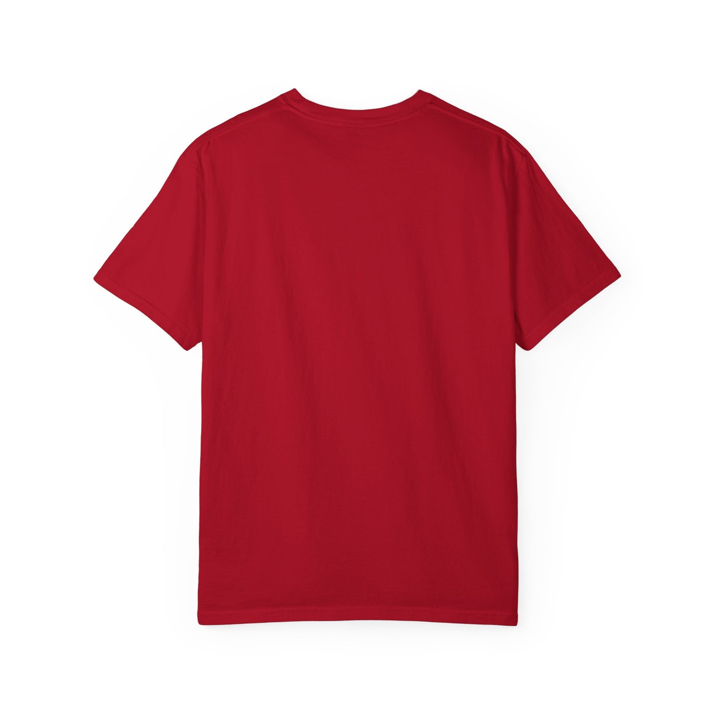 Alligator Alcatraz Tshirt